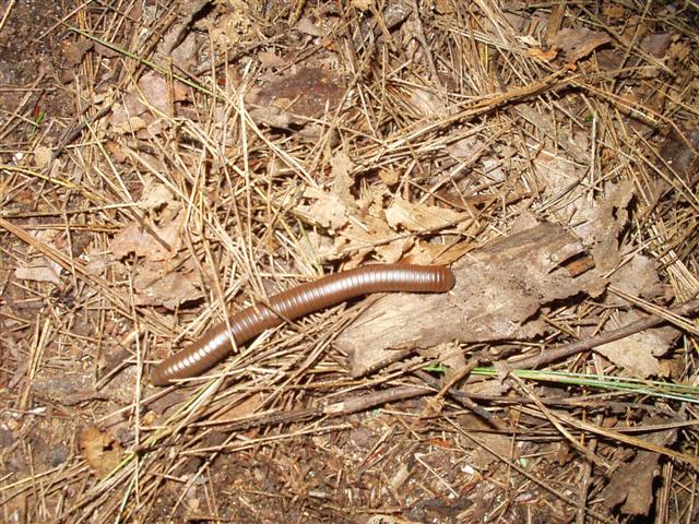 24:rrgorge6_2829_03 025.jpg