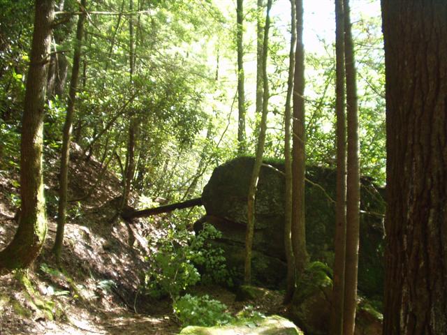 28:rrgorge6_2829_03 029.jpg