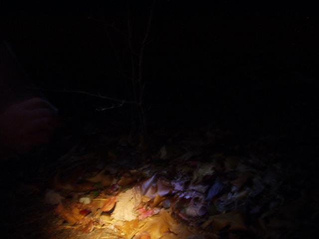 10:gorge11_01_03 011.jpeg