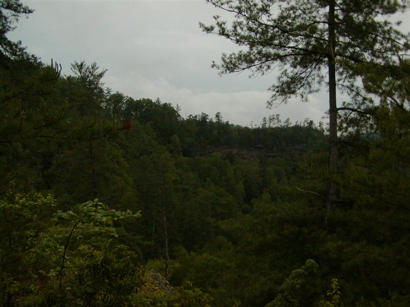 100:P1010125.JPG