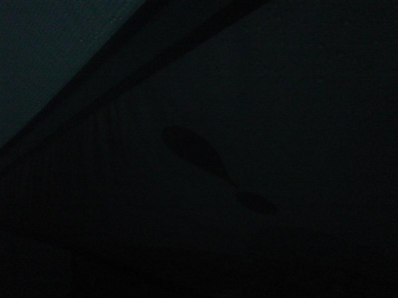 57:DSC00867.JPG