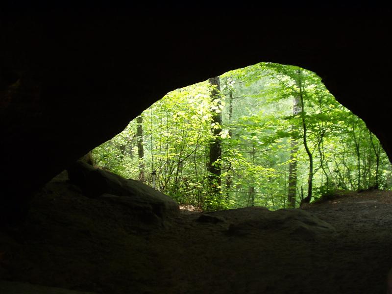 5:Picture011.jpg