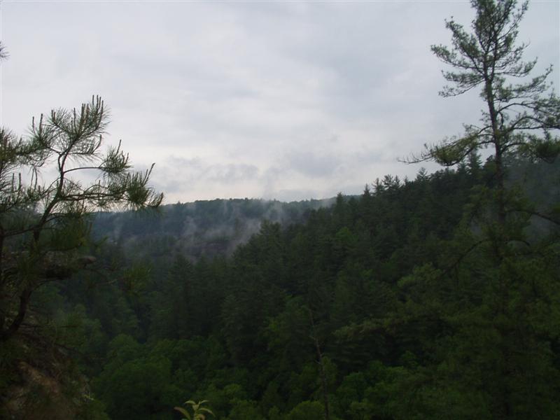 13:Picture019.jpg