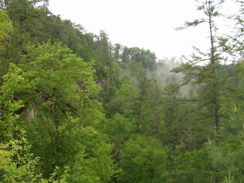 15:Picture021.jpg