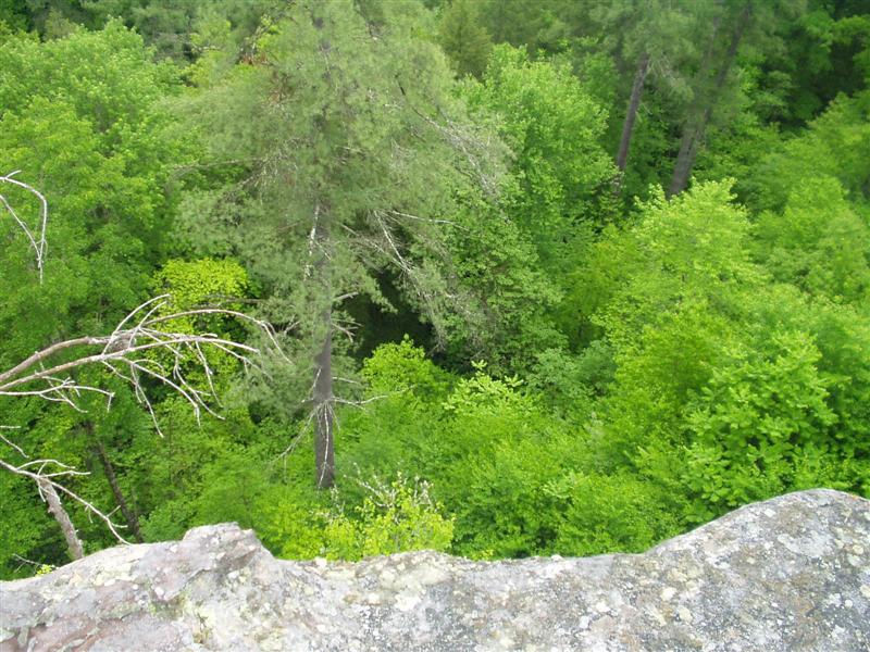 17:Picture023.jpg