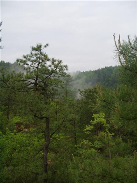 20:Picture026.jpg