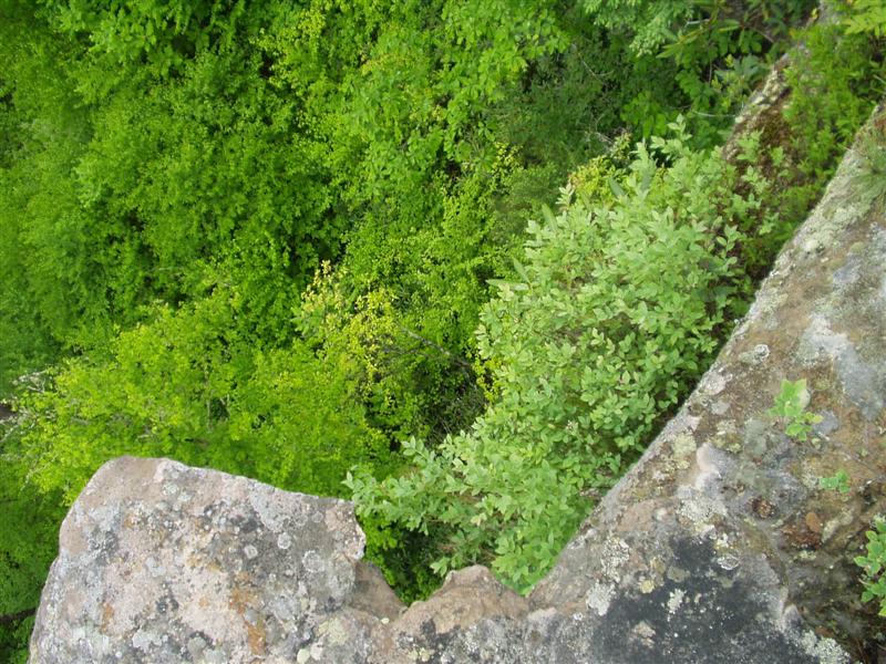 21:Picture027.jpg