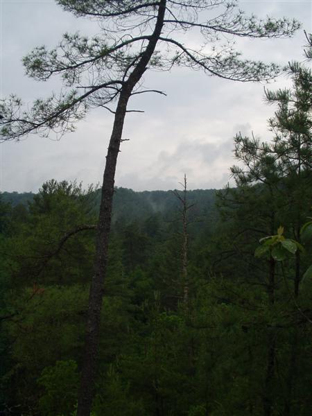 26:Picture034.jpg