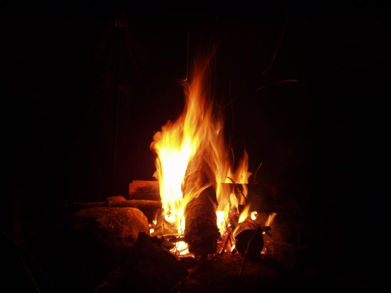 41:Picture054.jpg