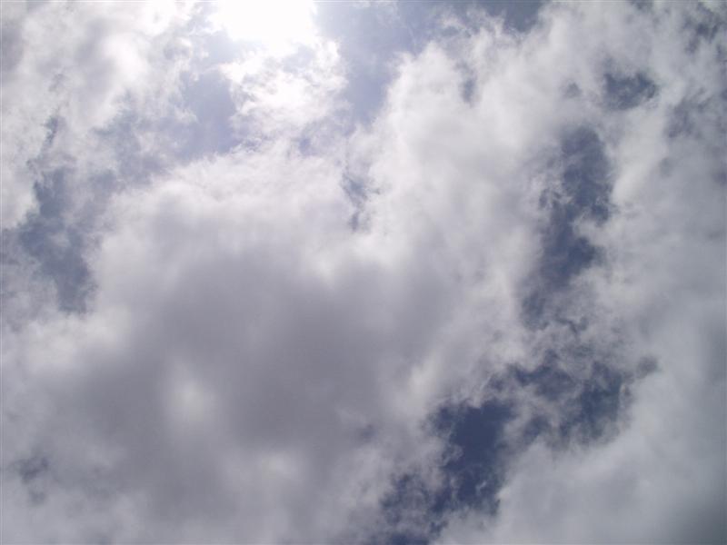 59:Picture075.jpg