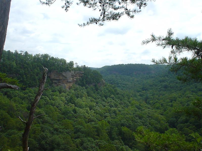 View from the Swift Creek overlook on the way to Sky Bridge.<br>3:DSC01028.JPG