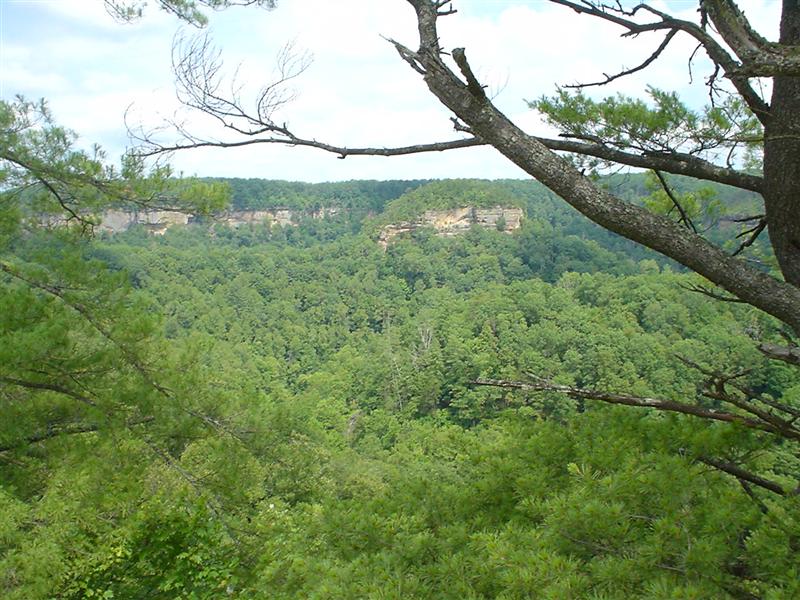 View along Sky Bridge loop before the arch.<br>4:DSC01029.JPG