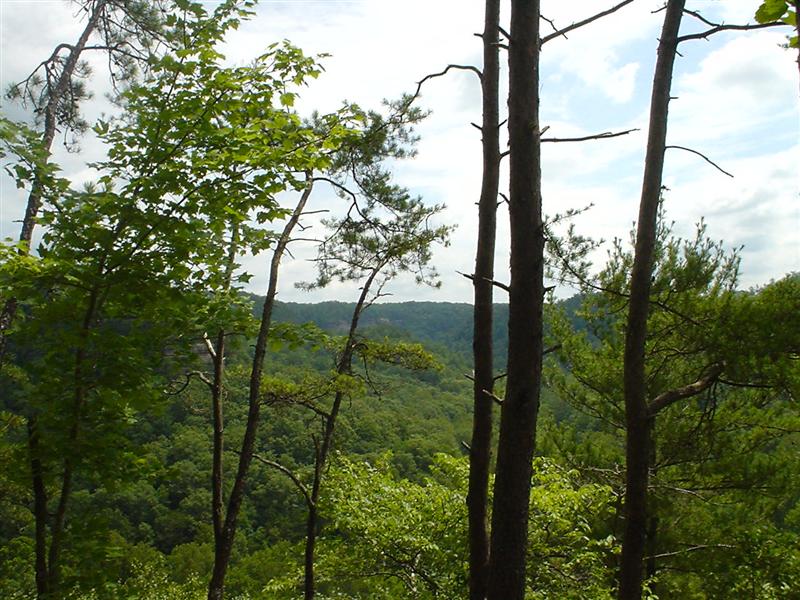 View from farthest point on Sky Bridge loop up the Red River Gorge.<br>5:DSC01030.JPG