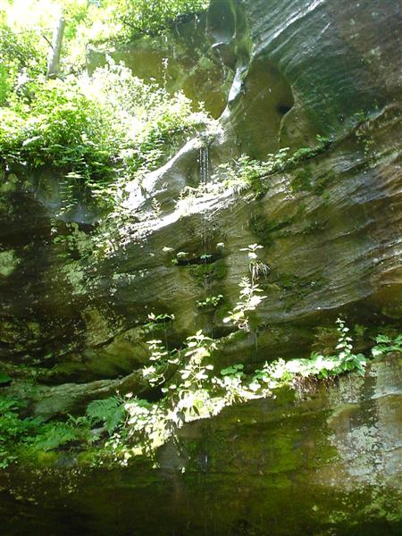 12:DSC01037.JPG
