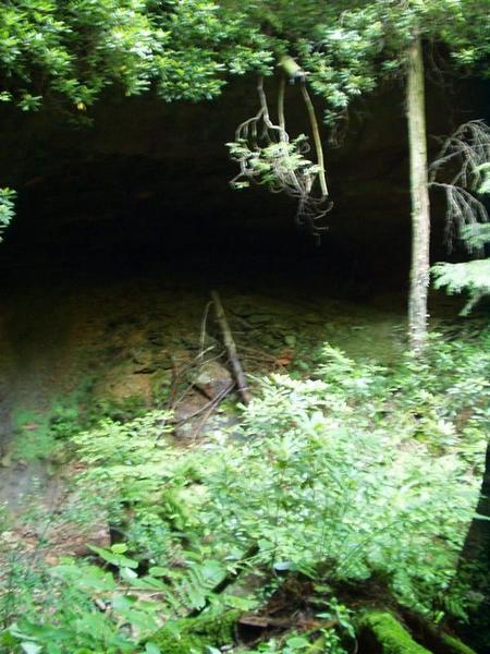 26:Picture029.jpeg