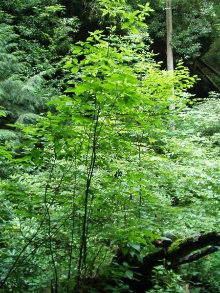 28:Picture031.jpeg