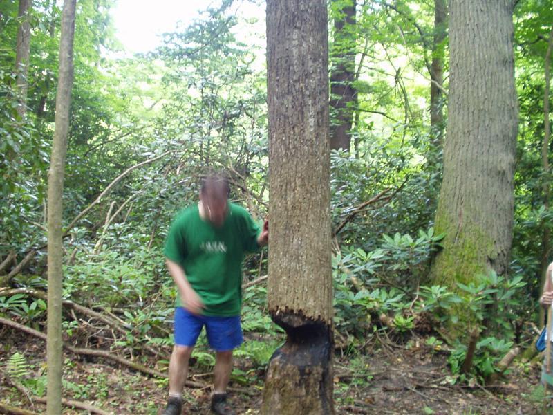 38:Picture041.jpeg