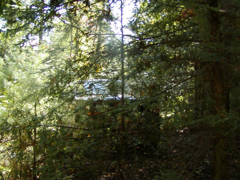 8:P1010353.JPG