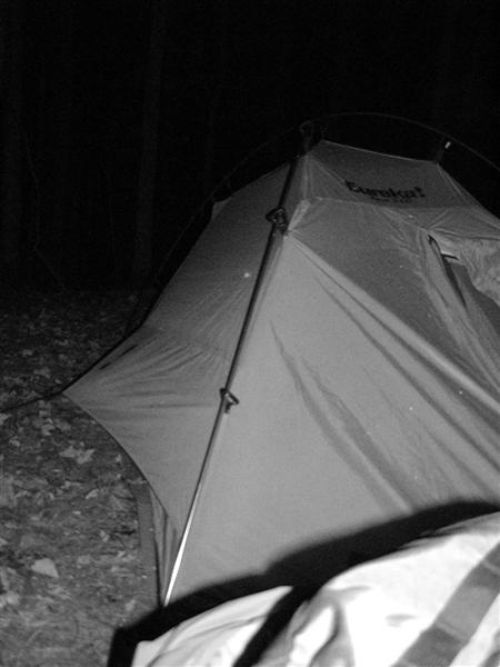 45:P1010451.JPG