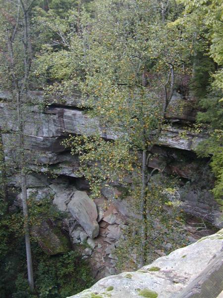 63:P1010507.JPG