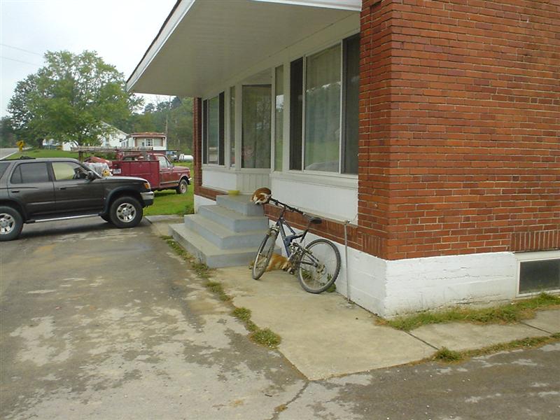Watch dogs of Pine Ridge, KY<br>30:DSC01390.JPG