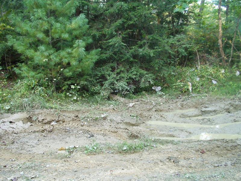 15:Picture019.jpg