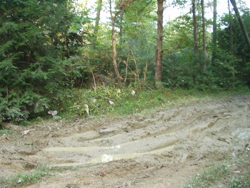 16:Picture020.jpg