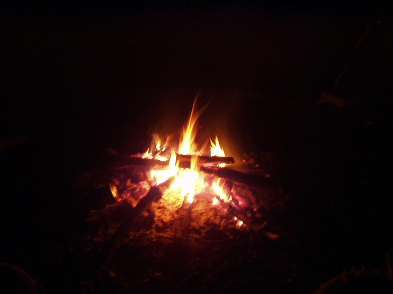 21:Picture026.jpg