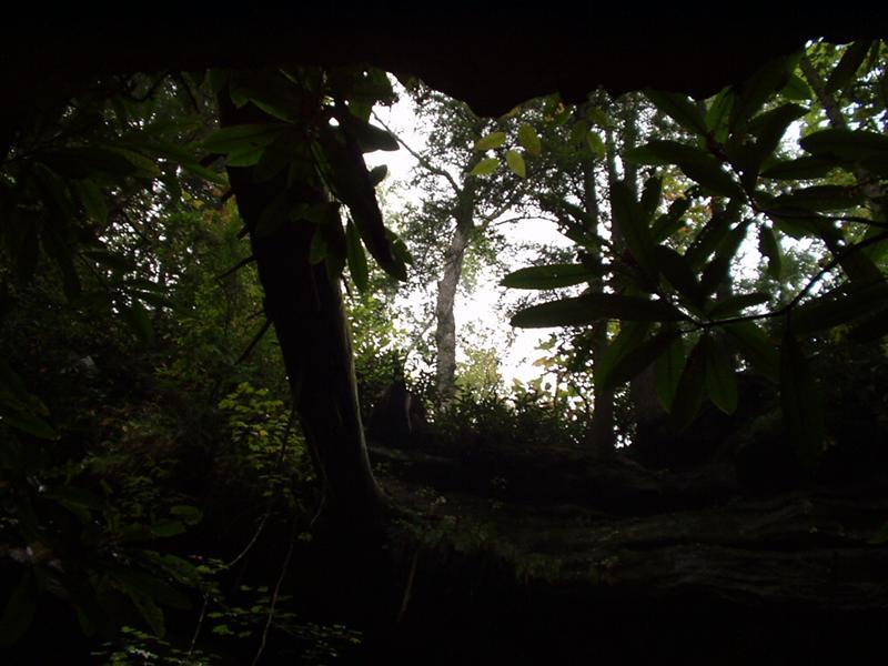 40:Picture060.jpg