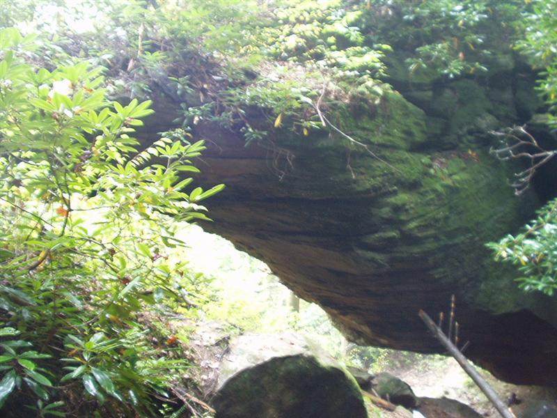 41:Picture061.jpg