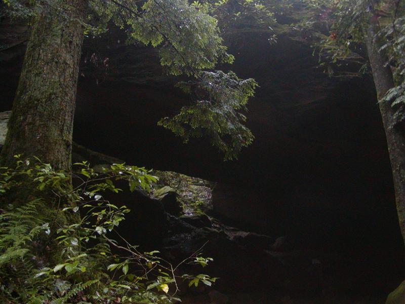 10:P1010031.JPG