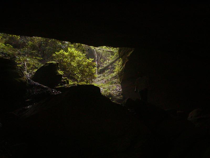 11:P1010032.JPG