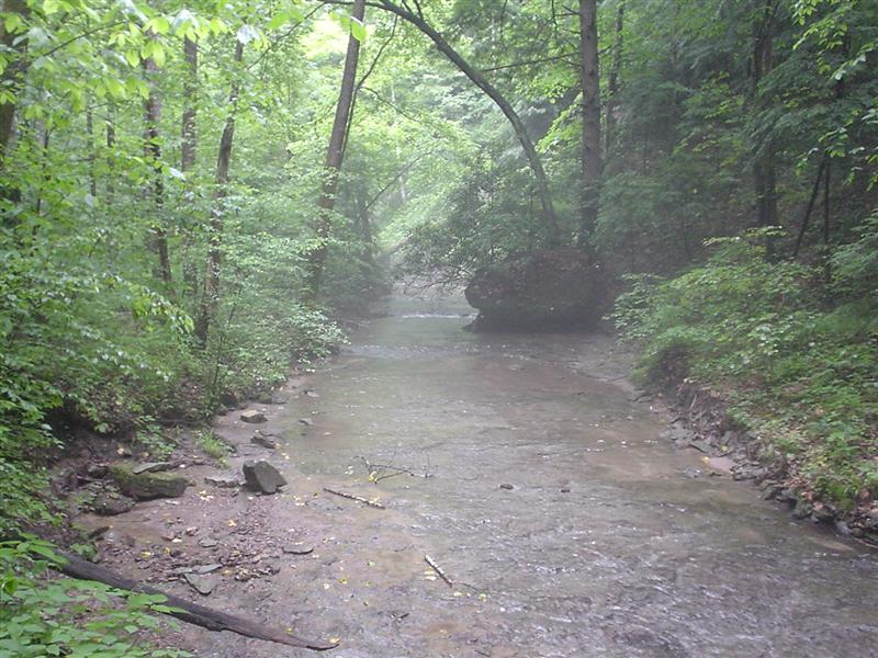 1:DSC02117.JPG