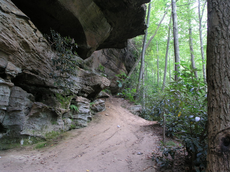 30:P9170545.JPG
