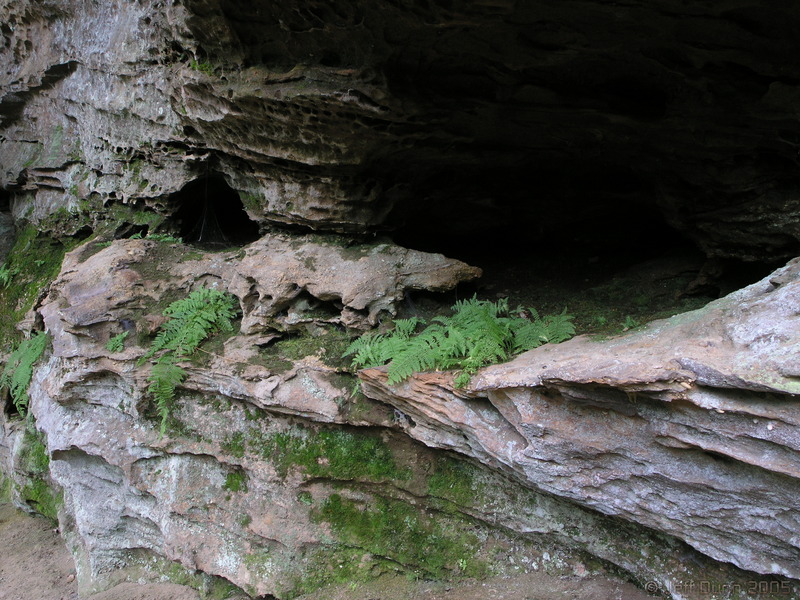 31:P9170546.JPG