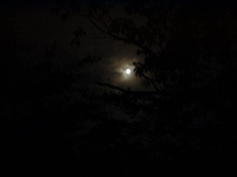 2:rrg9_05 004.jpg