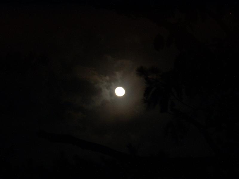 3:rrg9_05 005.jpg