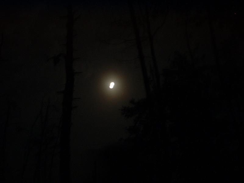 7:rrg9_05 010.jpg