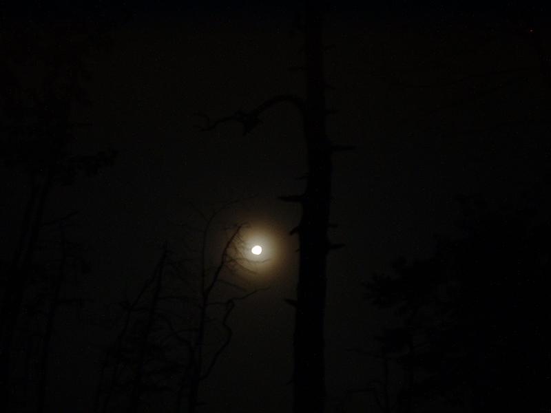 8:rrg9_05 011.jpg