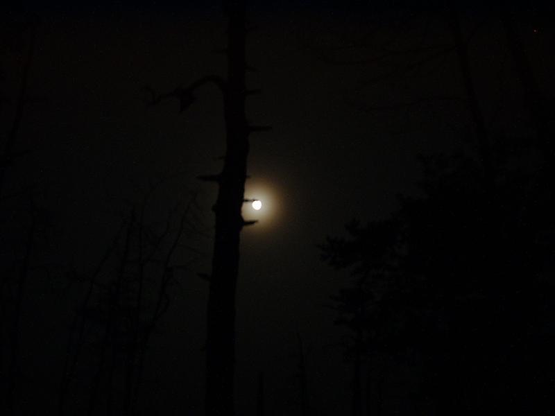 11:rrg9_05 015.jpg