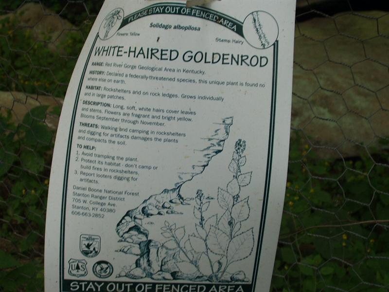 19:rrg9_05 027.jpg