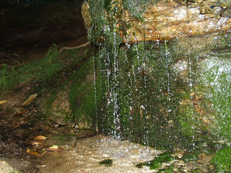 22:rrg9_05 034.jpg