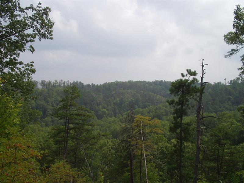28:rrg9_05 042.jpg