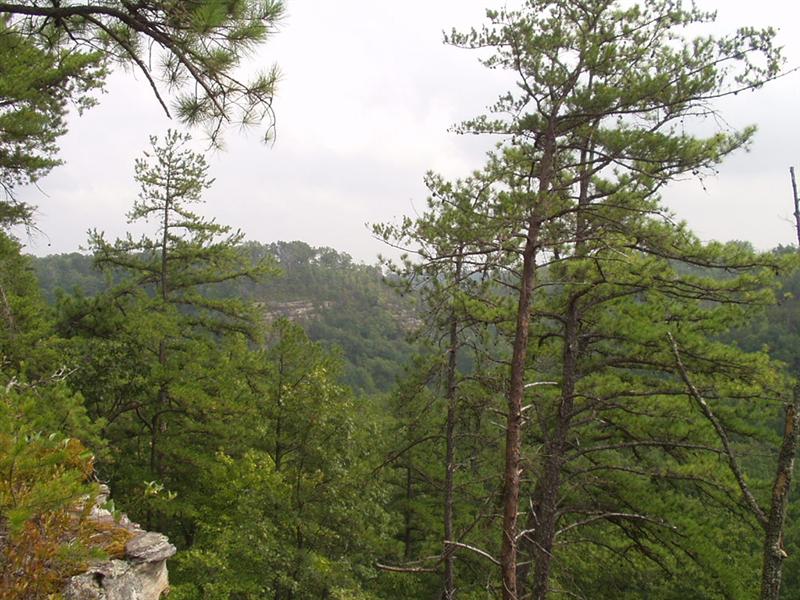29:rrg9_05 043.jpg