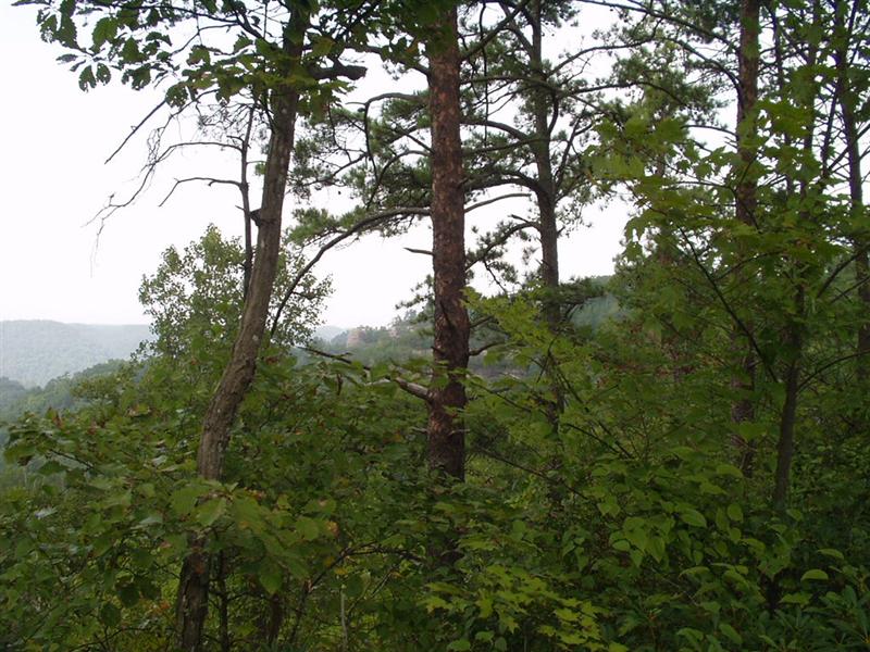 31:rrg9_05 045.jpg
