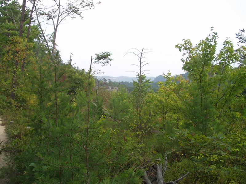 32:rrg9_05 046.jpg