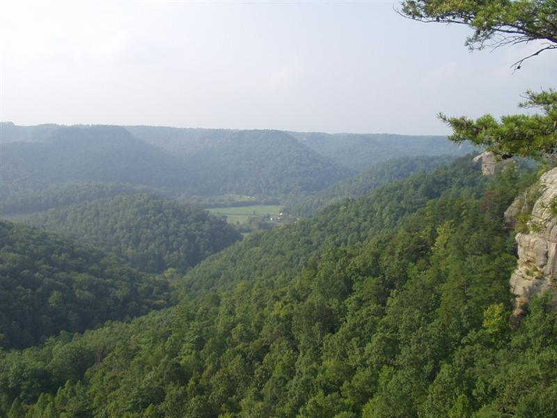 42:rrg9_05 057.jpg