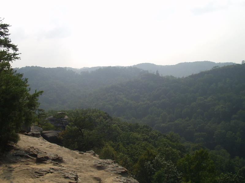 43:rrg9_05 058.jpg