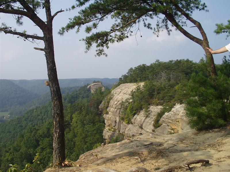 44:rrg9_05 059.jpg