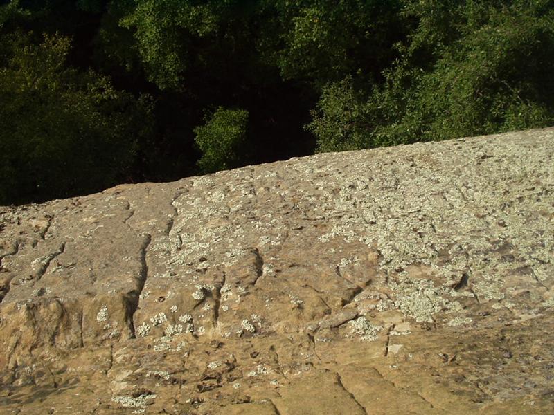 48:rrg9_05 064.jpg